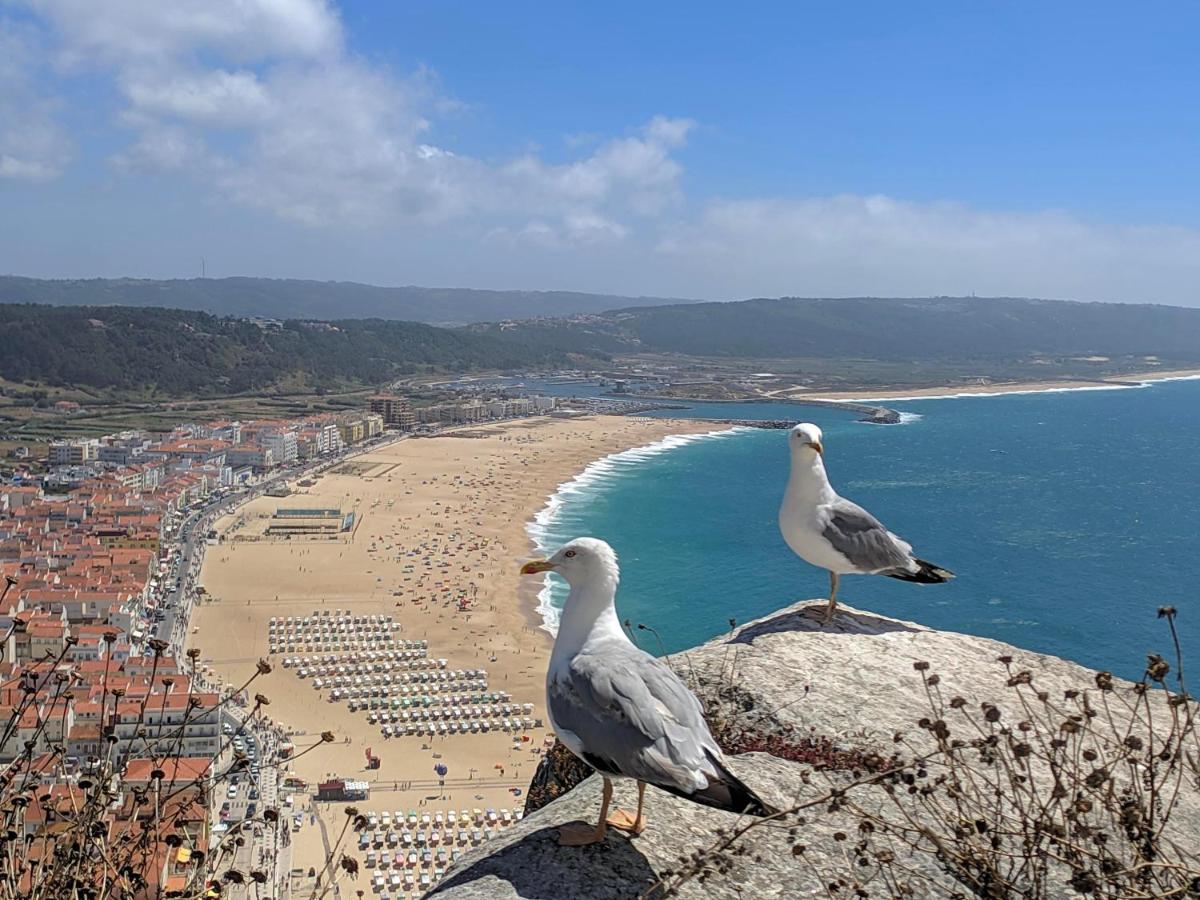 Apartament Blue Boat House - The Atlantic Breeze Nazaré Zewnętrze zdjęcie